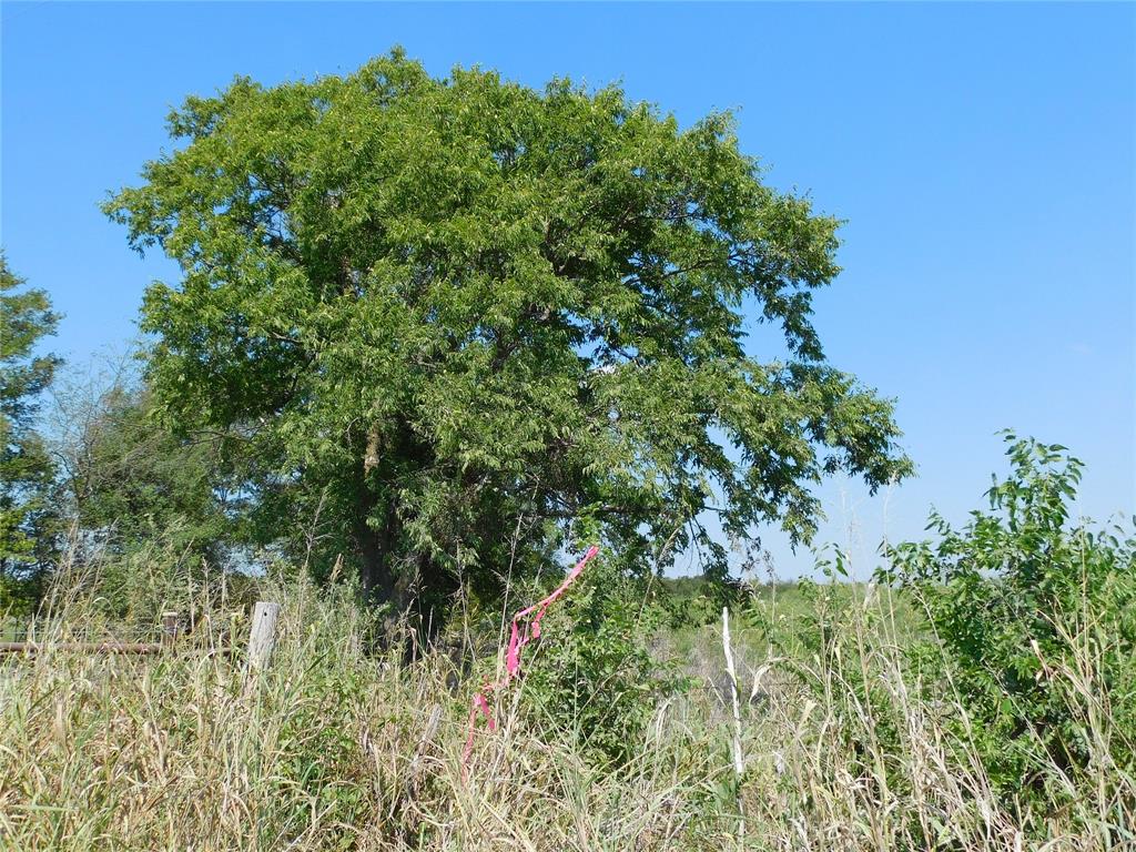 S Cook AB 157 ,S Cook AB125, J Lecompt Survey AB48 - Land