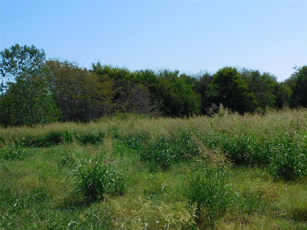 S Cook AB 157 ,S Cook AB125, J Lecompt Survey AB48 - Land