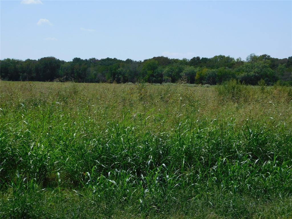 S Cook AB 157 ,S Cook AB125, J Lecompt Survey AB48 - Land