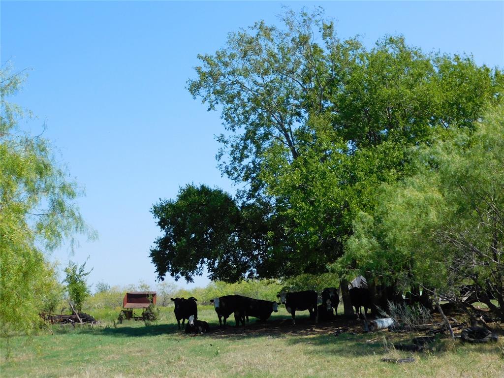 S Cook AB 157 ,S Cook AB125, J Lecompt Survey AB48 - Land