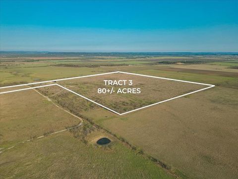 LOT 3 RR Grassy Ridge Road Graford TX 76449