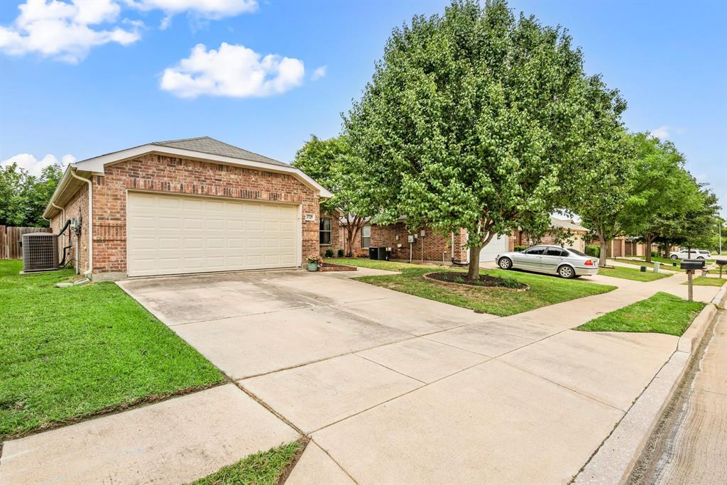 3729 Palm Drive