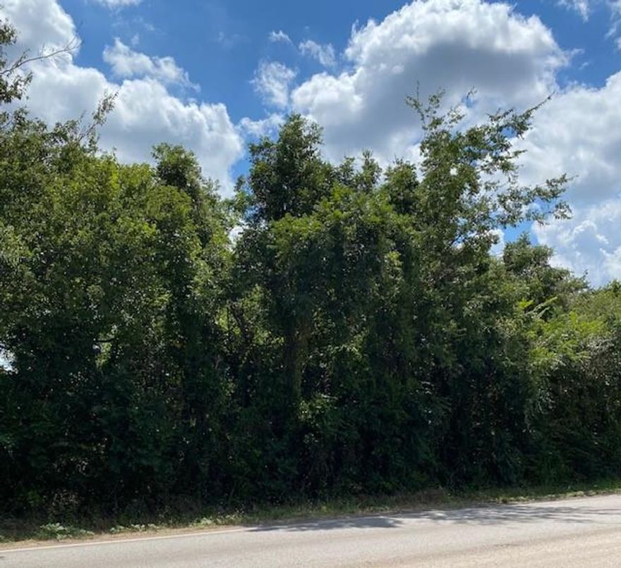 Rare opportunity in the heart of Poolville! This versatile lot offers endless potential—perfect for either commercial or residential use. Featuring approximately 284 feet of road frontage and 82 feet of depth, the property is ideally located directly across from Poolville Elementary School. Large, mature trees provide shade and character, creating a beautiful setting for your vision. Don’t miss your chance to own this unique piece of property with prime visibility and location.