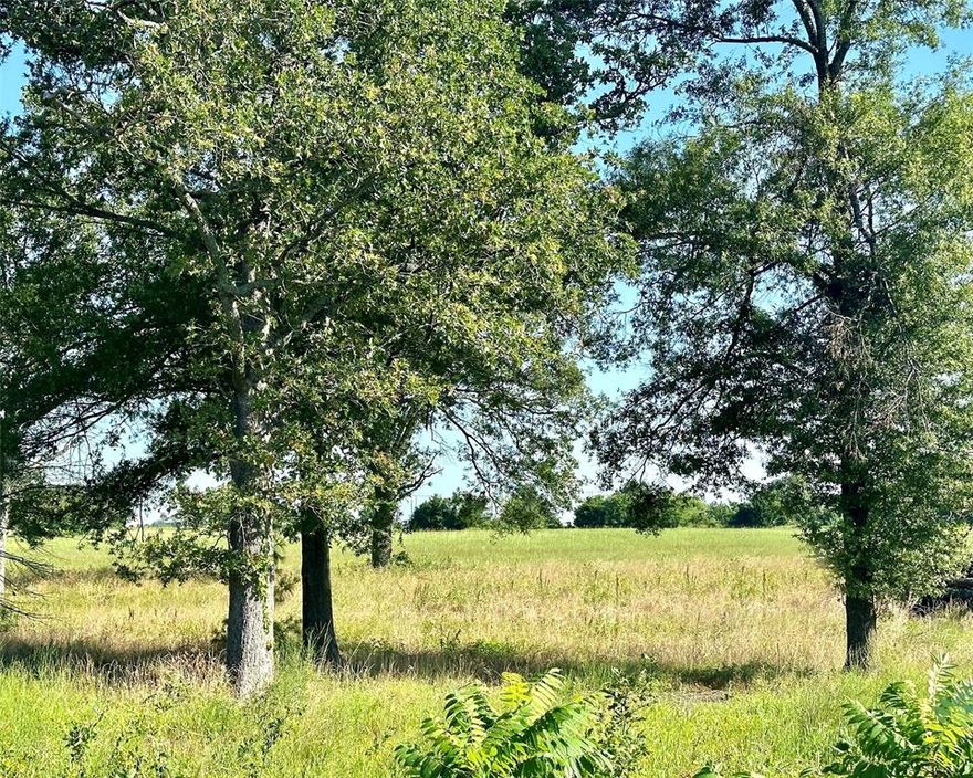 HERE IT IS!!!  The perfect location for commercial or residential in Emory, TX.  This 2.2 acre lot sits right across HWY 69 from Rains ISD with lots of road frontage.  The possibilities are endless with this one.  Make an appointment to see it today!!! More pics coming soon.