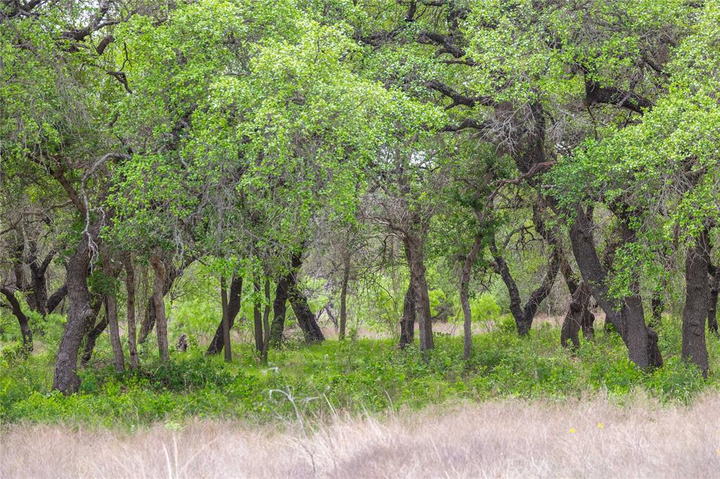 Comanche Hills - Farm