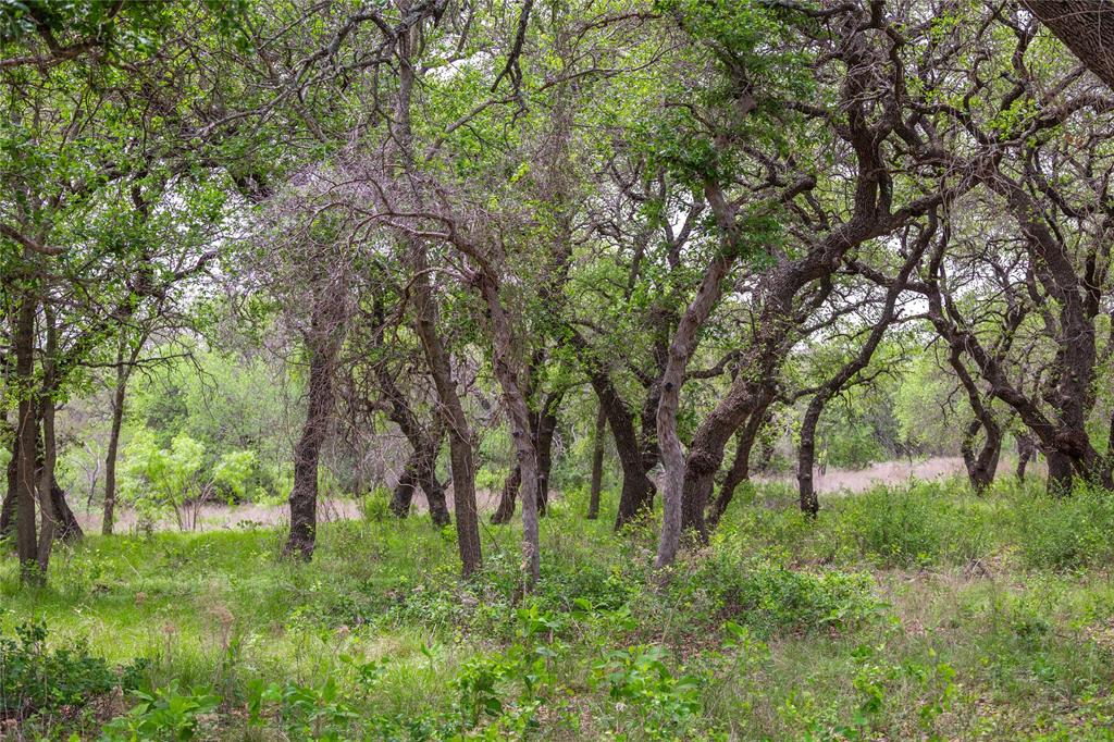 Comanche Hills - Farm