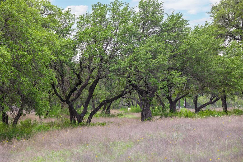 Comanche Hills - Farm