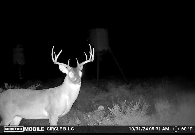 Comanche Hills - Farm