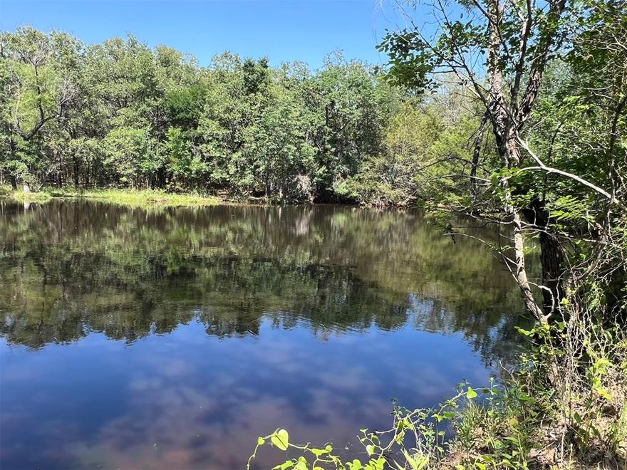 219.96 acres in the Historic Greenwood community north of Decatur! An area rich in history with multi generational properties. This property offers a gently sloping terrain with several stock tanks. Abundance of trees on western boundary following the creek to the southern end giving wildlife and livestock plenty of shelter and shade.  Grazing is plentiful on this beautiful piece of land.  Whether you are wanting to build a home or a weekend getaway, there are numerous build sites to accommodate you dreams.  From northern end you can see the courthouse in Decatur in the distance. Get away from the noise of the big cities and enjoy peace and quiet!