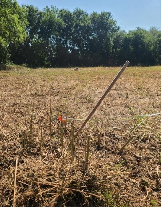 3218 Claibourne Boulevard