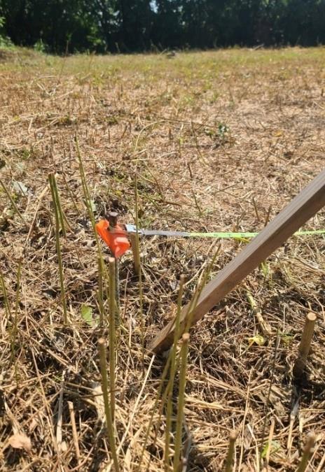 3218 Claibourne Boulevard