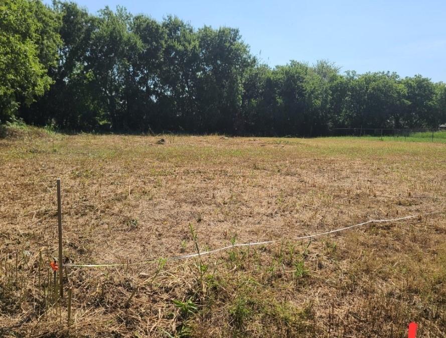 3218 Claibourne Boulevard