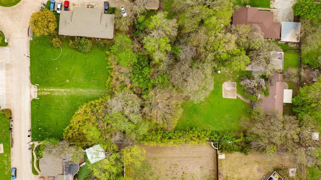 Norris Austin Surv Abs #5 - Land