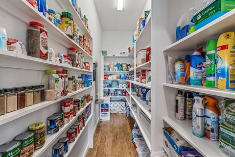 Tiny photo for 1007 Wax Wing Cove Cv, Graford, TX 76449 (MLS # 20966252)