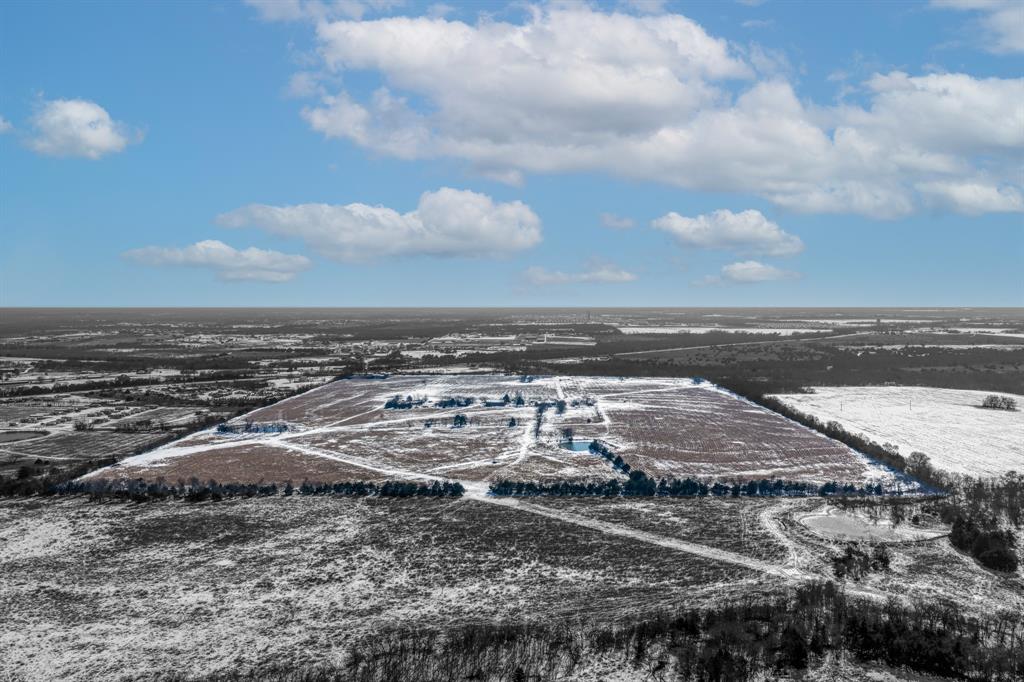 Charles Williamson Headright S - Commercial Sale