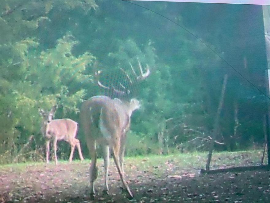 Wooded 10+ acres across the street from Lake Limestone and minutes away from 2 public boat ramps.  Property is very secluded.  You can fish all day and hunt deer in the afternoon. This property has plenty of deer!  Feeders stay. Nice deep pond that that is stocked.  The barndominium is capable of being converted to more living space. The garage area has 2 overhead doors with openers.  Commercial sink perfect for cleaning fish or processing a deer.  Plenty of room for a large table for poker nights or dominos.  Whole house generator.  Water well. Foam insulation.