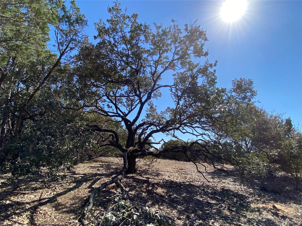 1052 Enchanted Rock Court