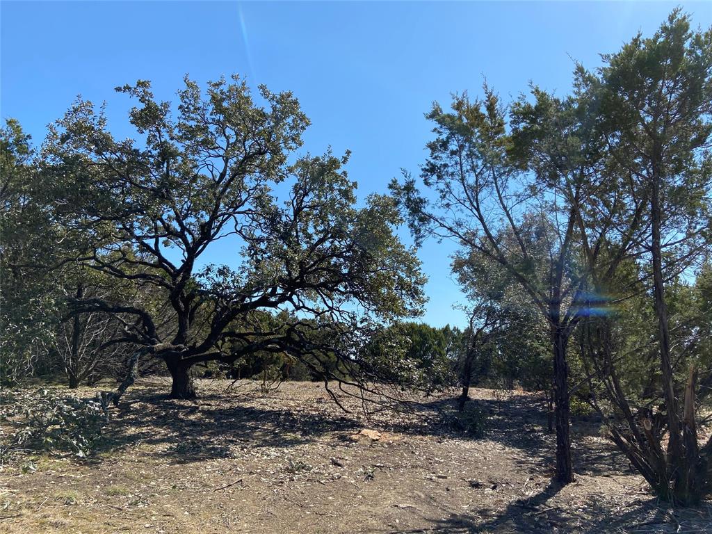 Hills Above Possum Kingdom Lak - Land