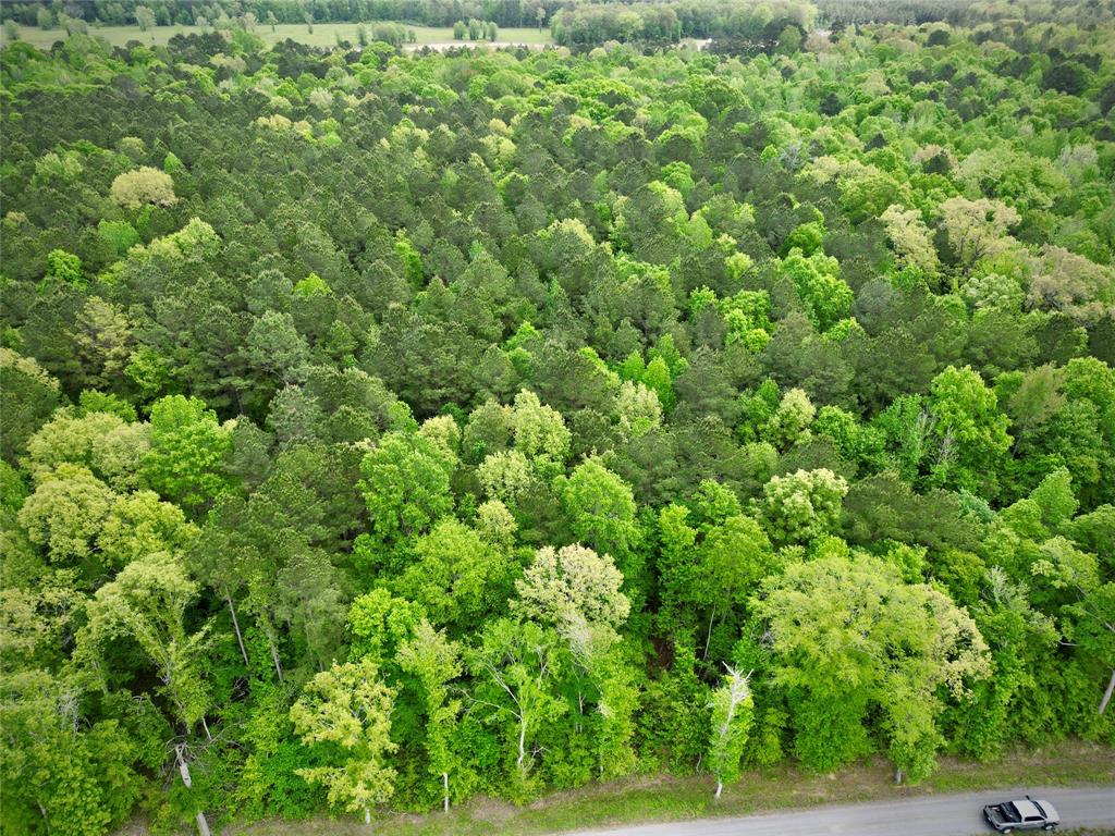 Rural - Land