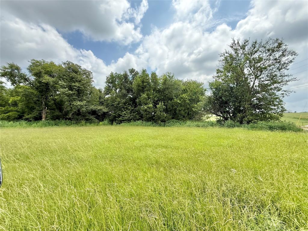 Thomas Tobar Survey - Land