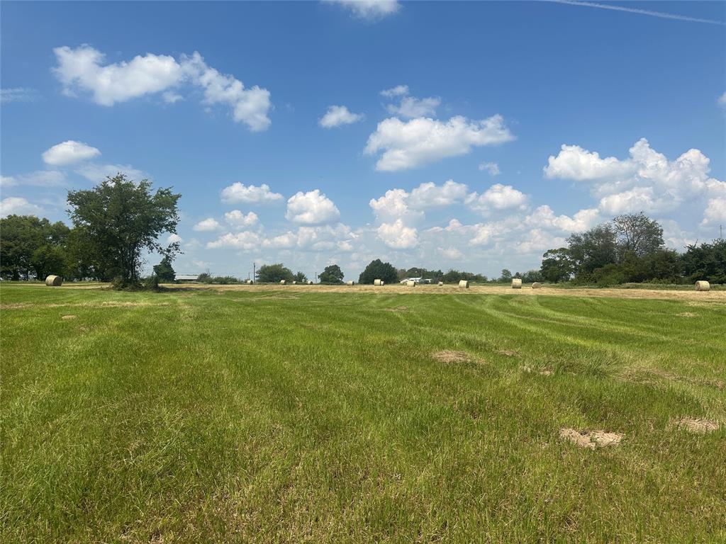 Thomas Tobar Survey - Land