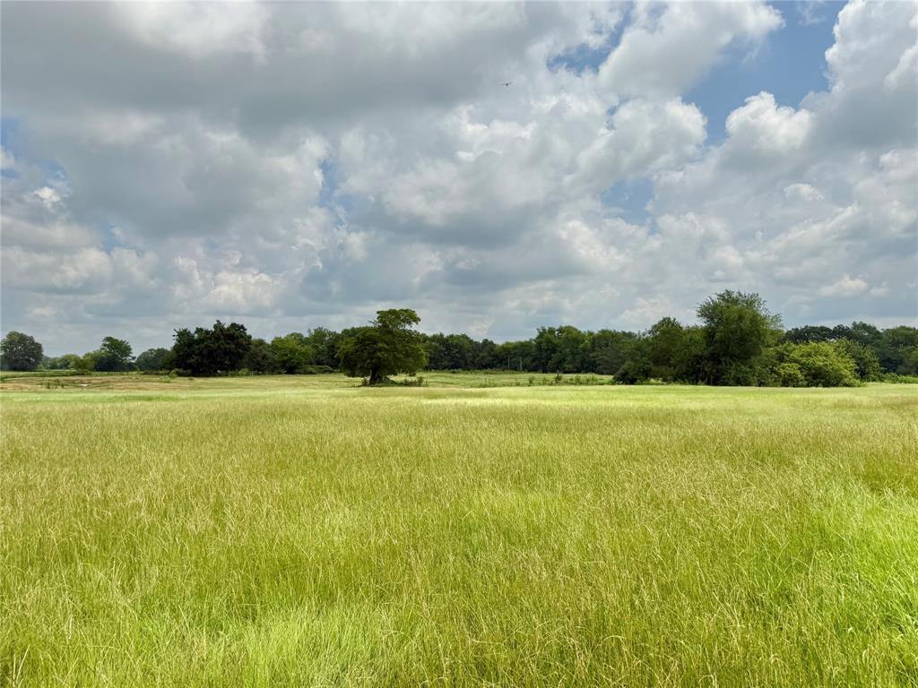 Thomas Tobar Survey - Land