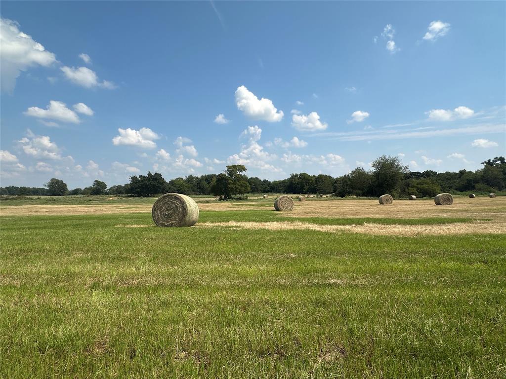 Thomas Tobar Survey - Land