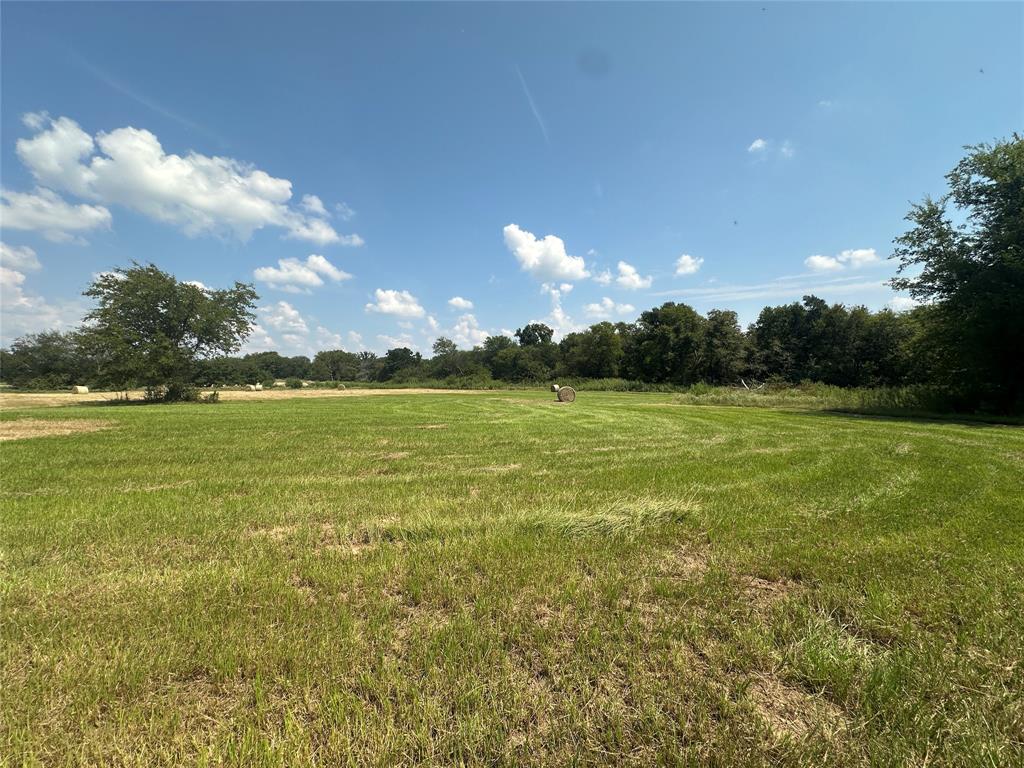 Thomas Tobar Survey - Land