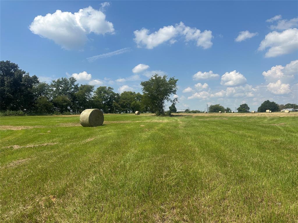 Thomas Tobar Survey - Land