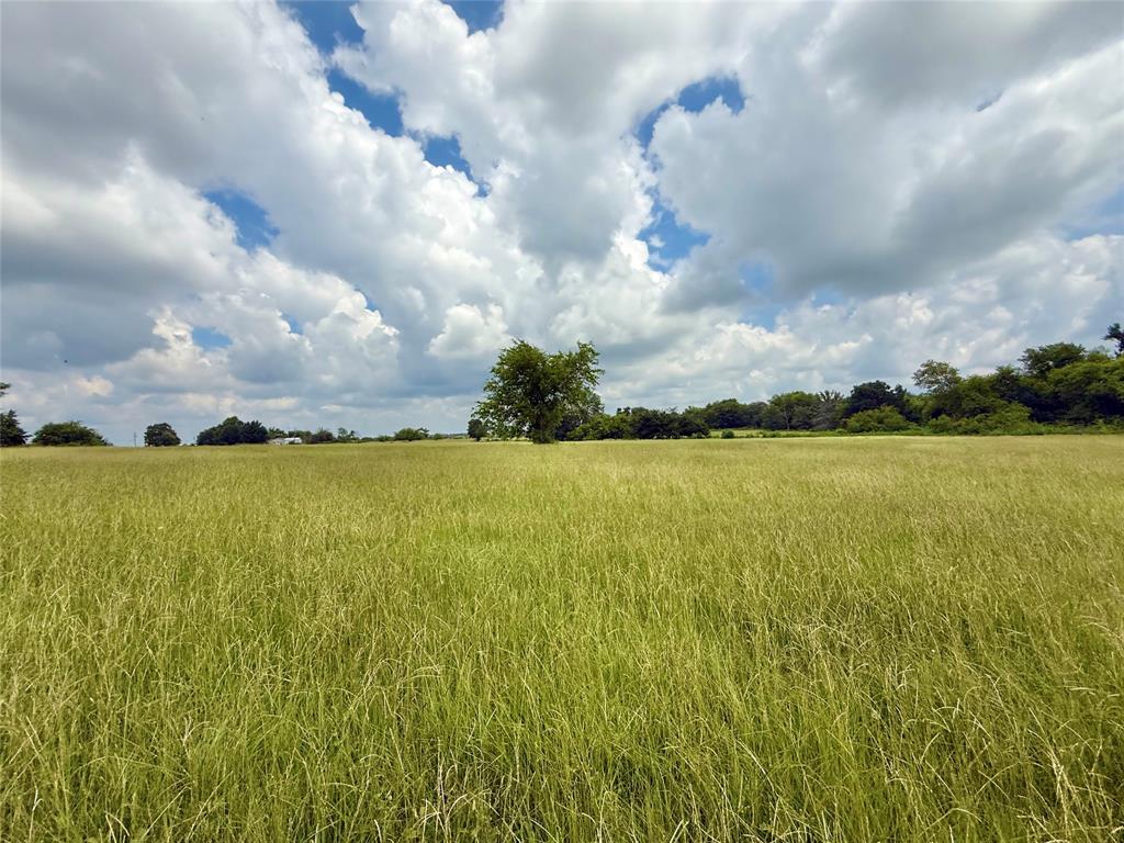 Thomas Tobar Survey - Land