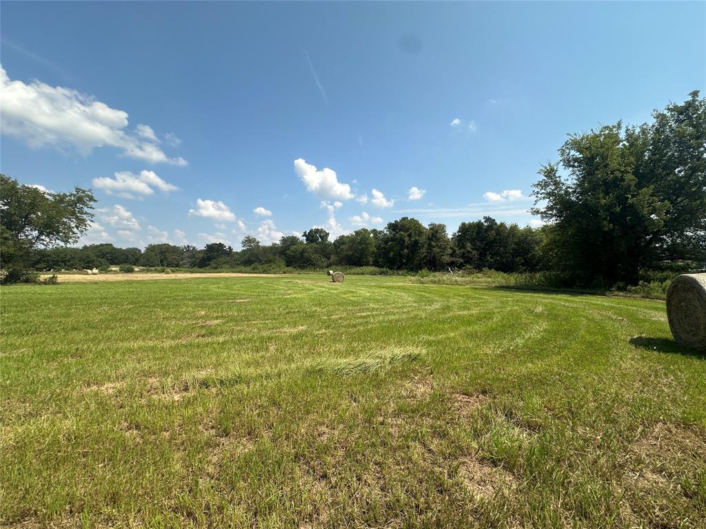 Thomas Tobar Survey - Land