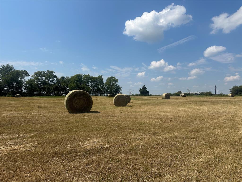 Thomas Tobar Survey - Land