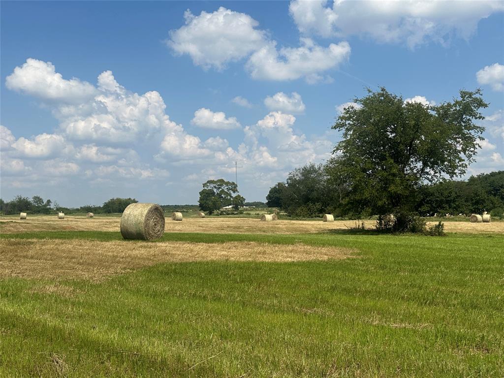 Thomas Tobar Survey - Land