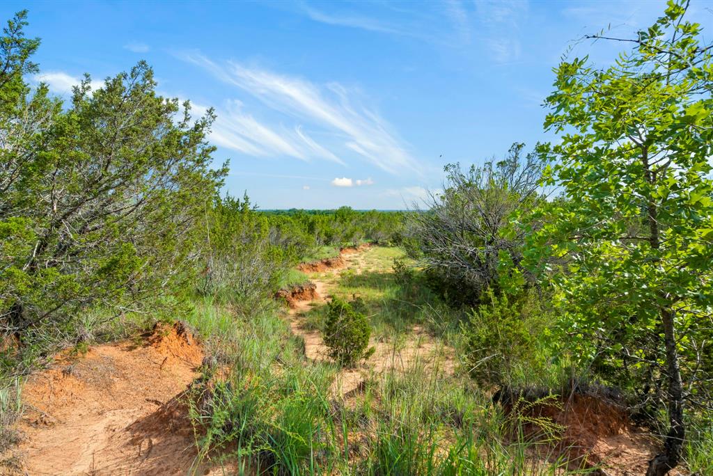 Dillard Reuben - Farm