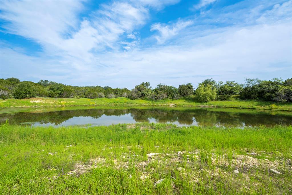 Dillard Reuben - Farm