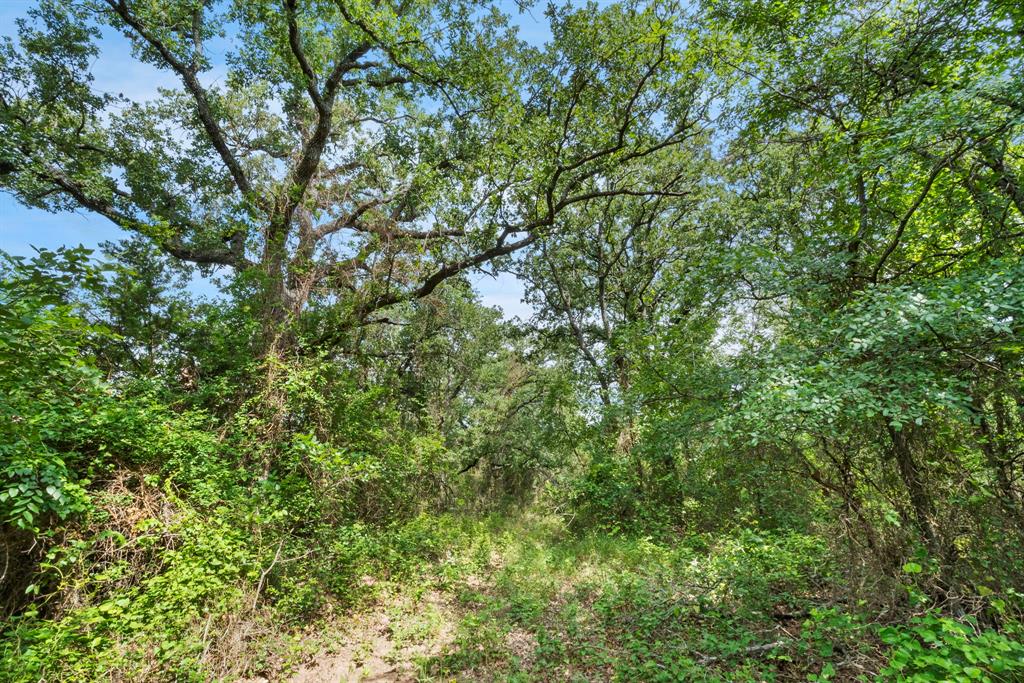 Dillard Reuben - Farm