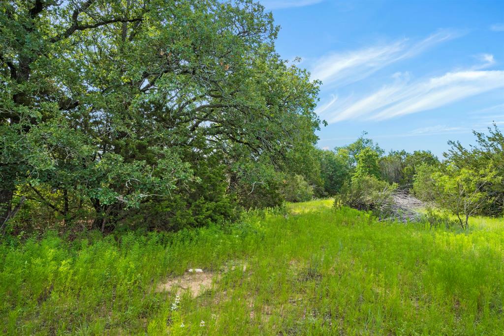 Dillard Reuben - Farm