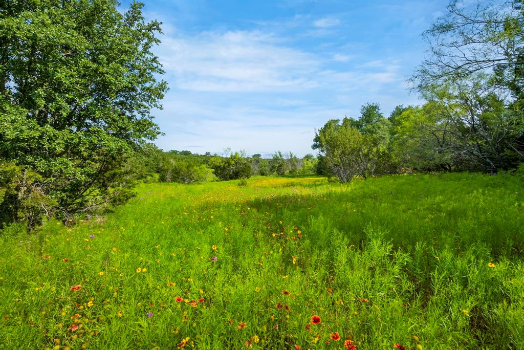 Dillard Reuben - Farm