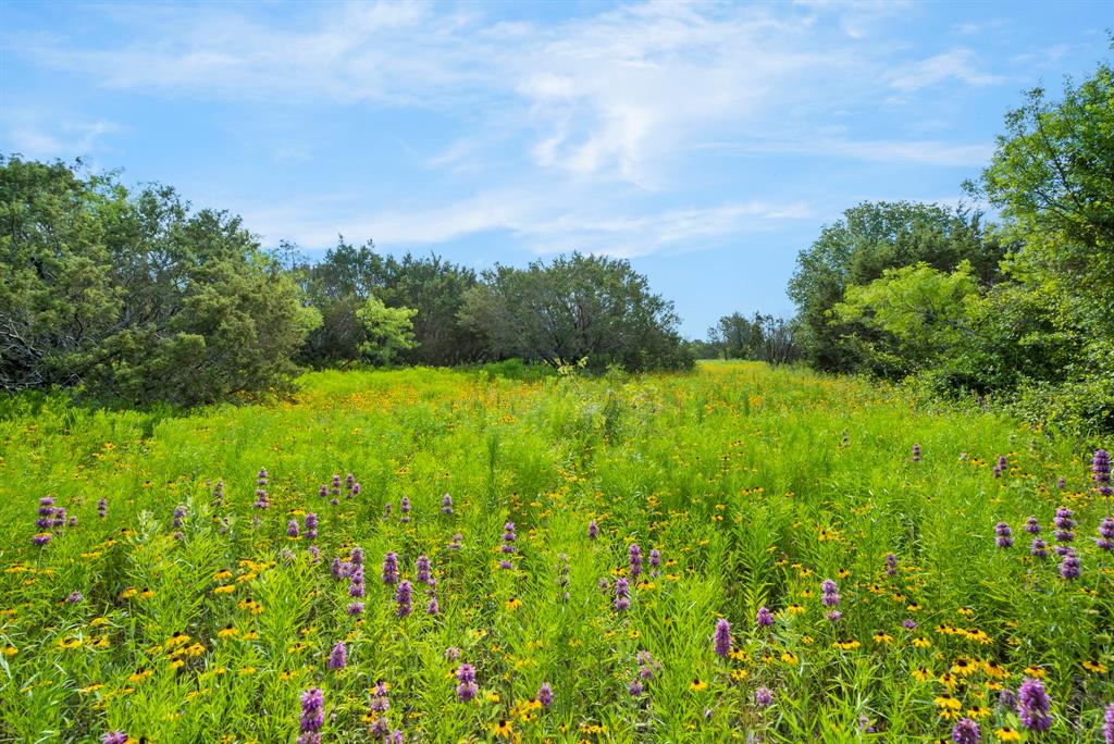 Dillard Reuben - Farm