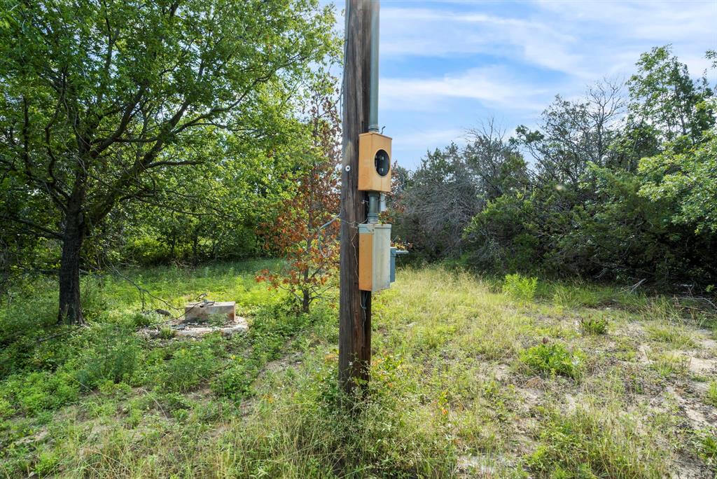 Dillard Reuben - Farm