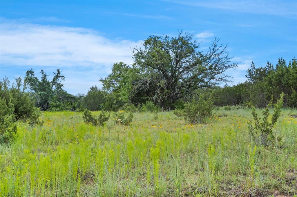 Dillard Reuben - Farm