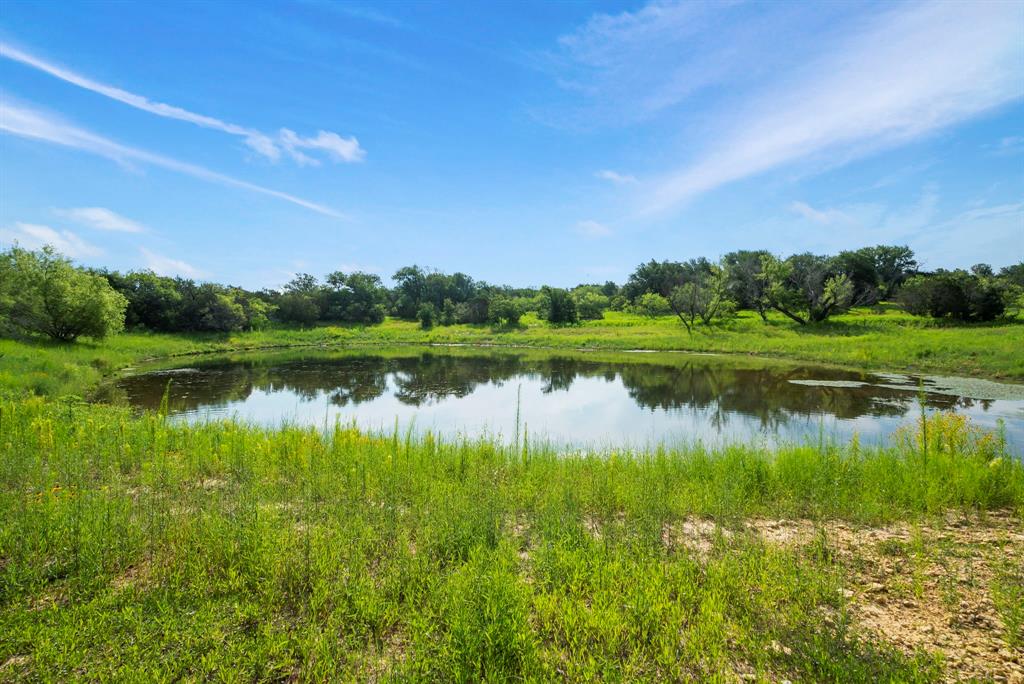 Dillard Reuben - Farm