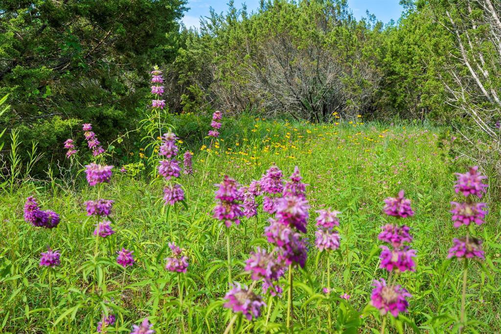 Dillard Reuben - Farm