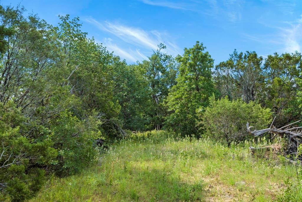 Dillard Reuben - Farm