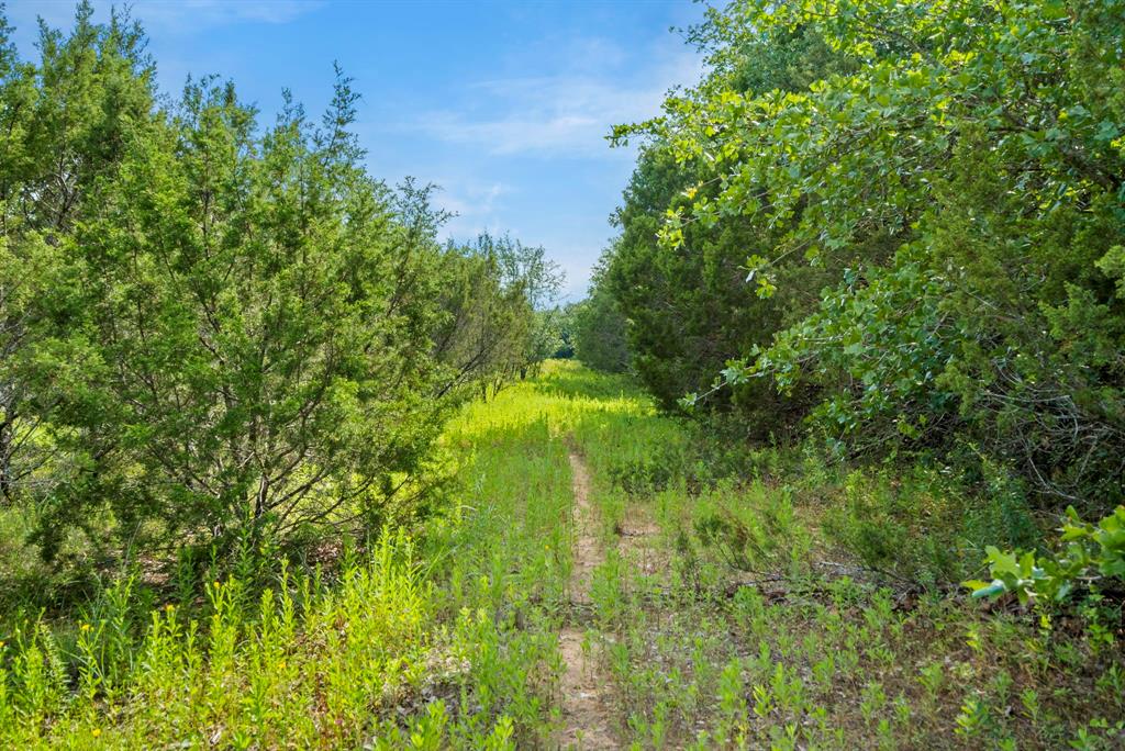 Dillard Reuben - Farm