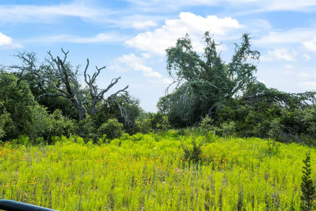 Dillard Reuben - Farm