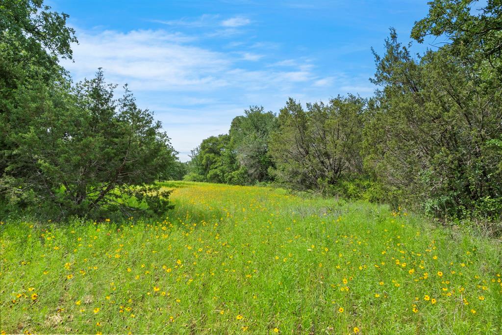 Dillard Reuben - Farm