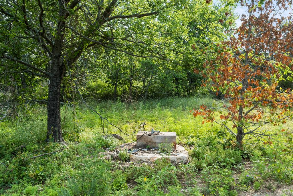 Dillard Reuben - Farm