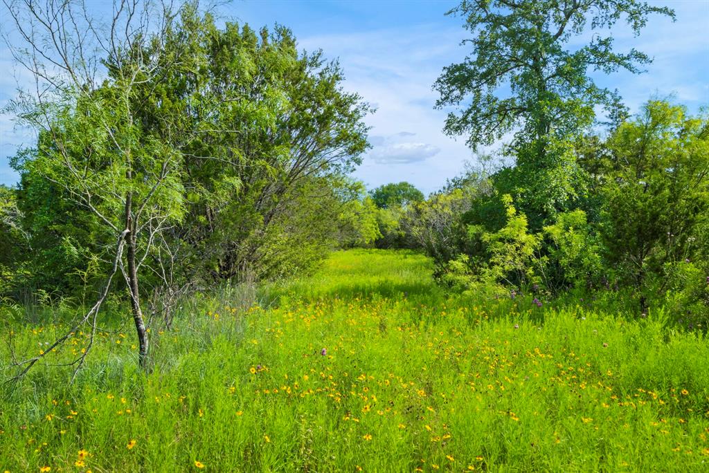 Dillard Reuben - Farm