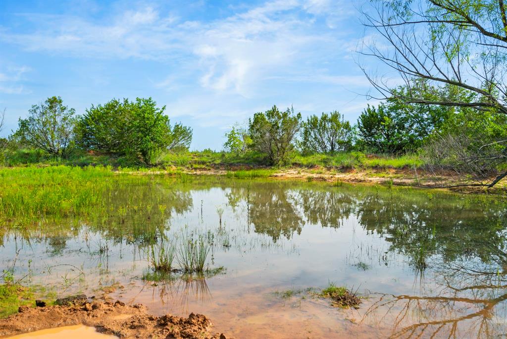 Dillard Reuben - Farm